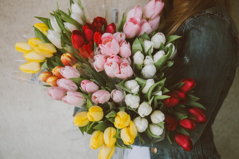 Nekoliko praktičnih saveta koji će učiniti da vam rezano cveće duže traje