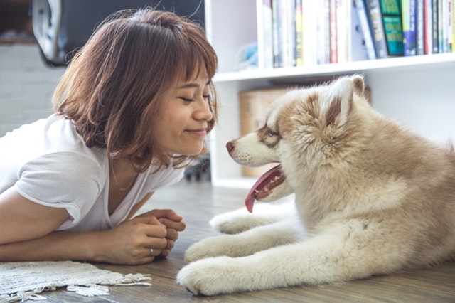 7 znakova koji pokazuju da vašeg ljubimca morate da vodite kod veterinara