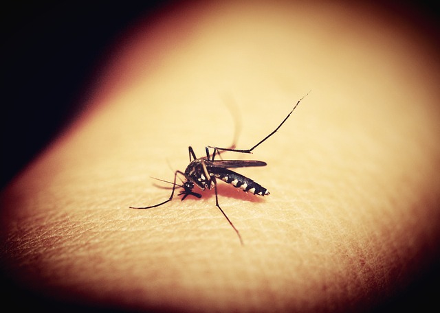 5 stvari koje imate kod kuće efikasno se bore protiv ujeda komaraca