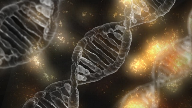 5 tajni koje vam otkriva vaša DNK