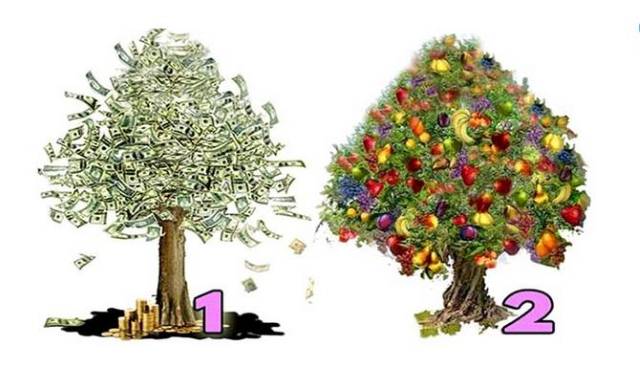 Drvo koje vam se više dopada otkriće vam da li ćete imati novca i kada će on doći u vaš život