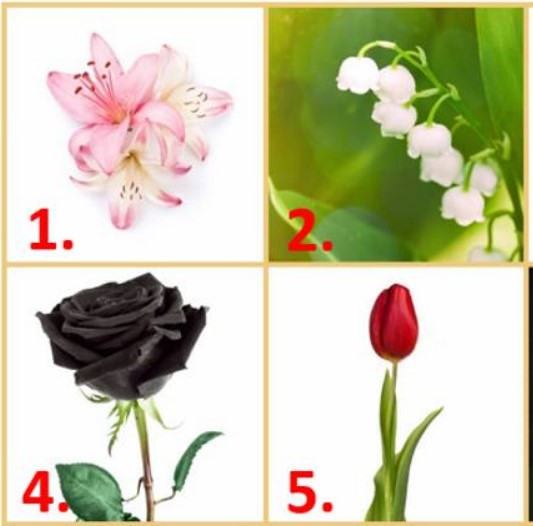 Psihološki test: Izaberite cvet koji vas najviše privlači i saznajte sve tajne vašeg karaktera