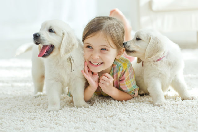 Nećete pogrešiti – ovo su najbolje rase pasa za porodice sa decom!