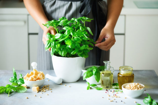 Ovi saveti će pomoći da vam začinsko bilje iz kuhinje napokon uspe