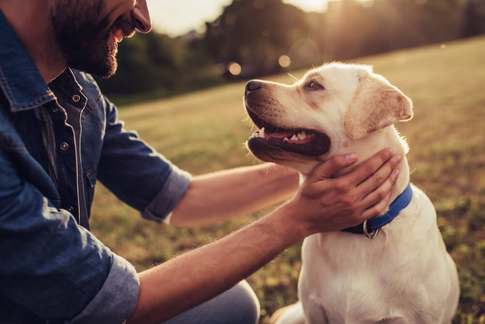 Dokazano – Psi poboljšavaju društveni život