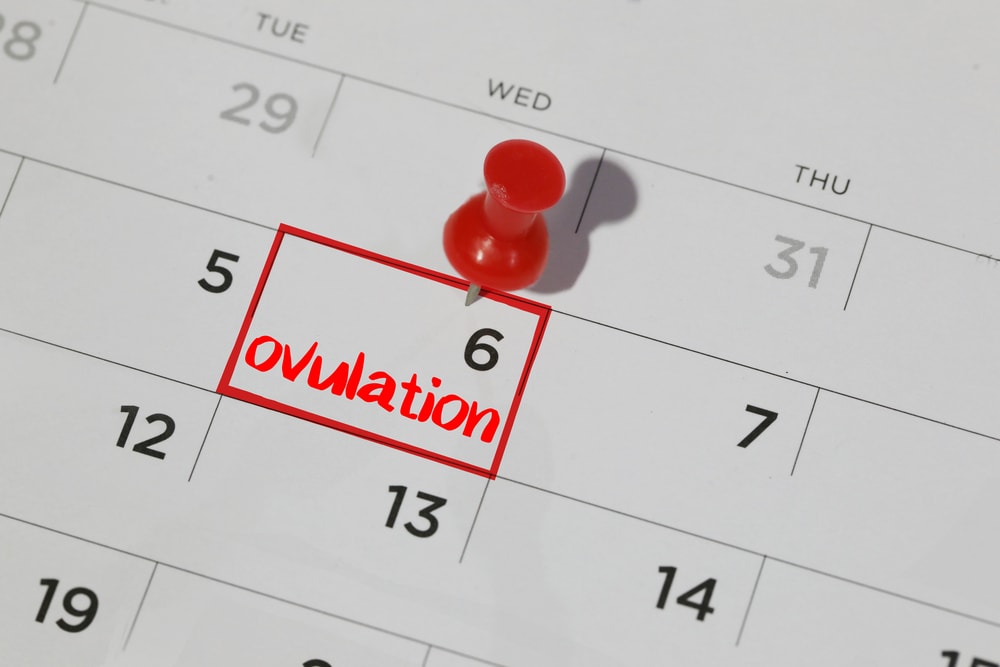 7 pitanja o ovulaciji koja zadaju brige svim ženama