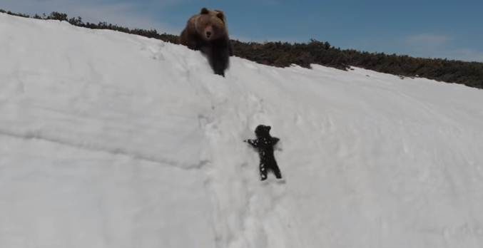Dramatični snimak mame i bebe medveda pokazao tamnu stranu snimanja životinja