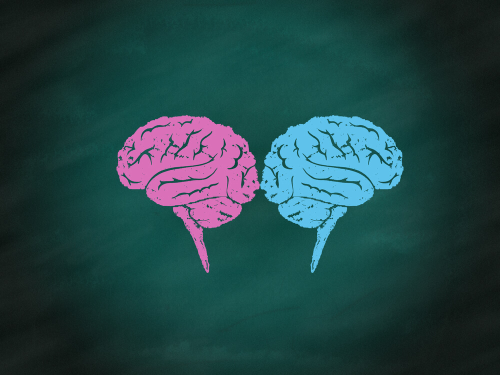 Ko je stariji – muški ili ženski mozak?