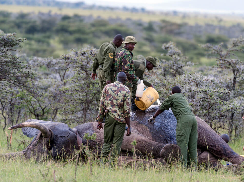 Kenija izglasala smrtnu kaznu za lovokradice