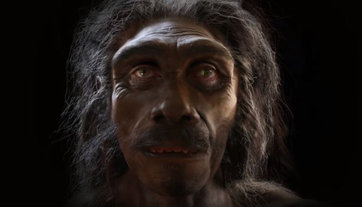Kako se ljudsko lice menjalo kroz evoluciju?