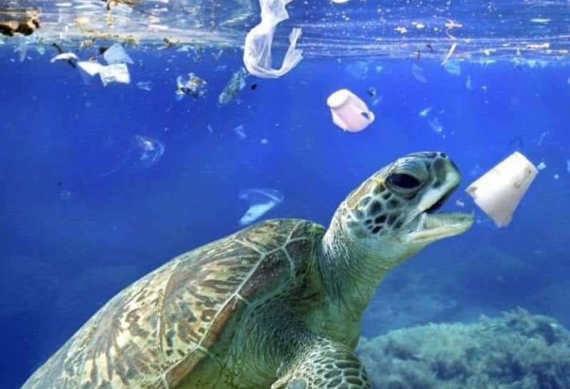 Uznemiravajuće fotografije životinja u „moru“ plastike