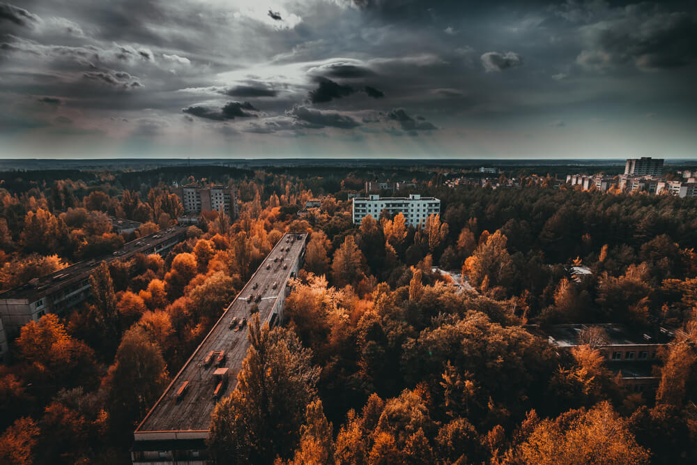 Ko danas živi u zabranjenoj zoni Černobilja?