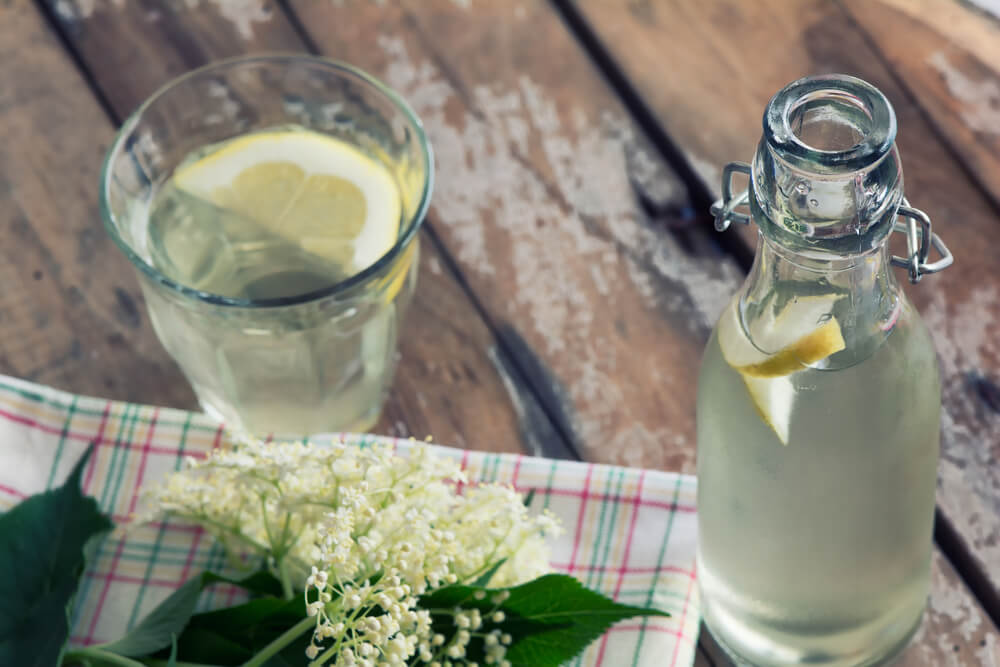 Napravite domaći sok od biljke koja osvežava i leči