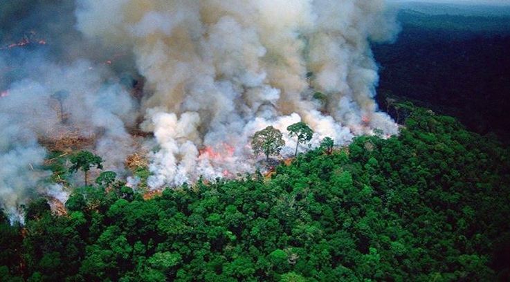 15 zastrašujućih činjenica o požaru u Amazoniji
