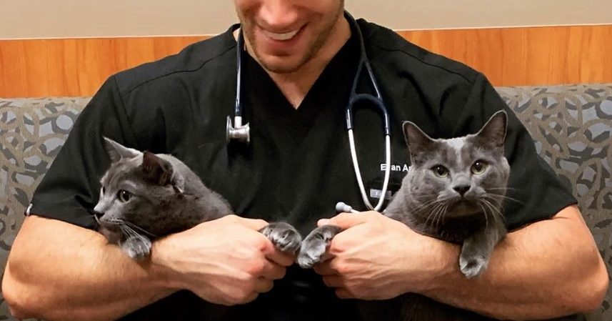 „Svaki život treba ceniti“ – Ovaj veterinar prenosi koga su mu doveli za pacijenta