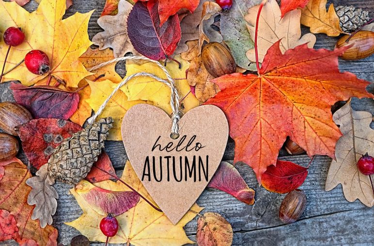 13 razloga zašto volimo jesen