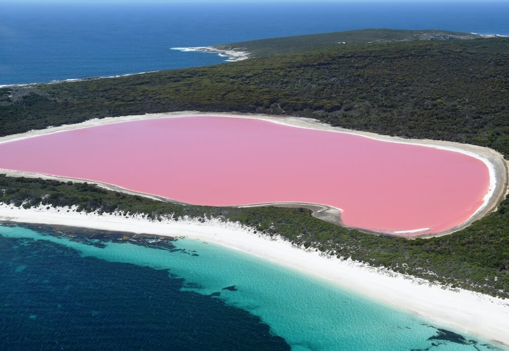 Ružičasto jezero u Australiji je očaravajući fenomen