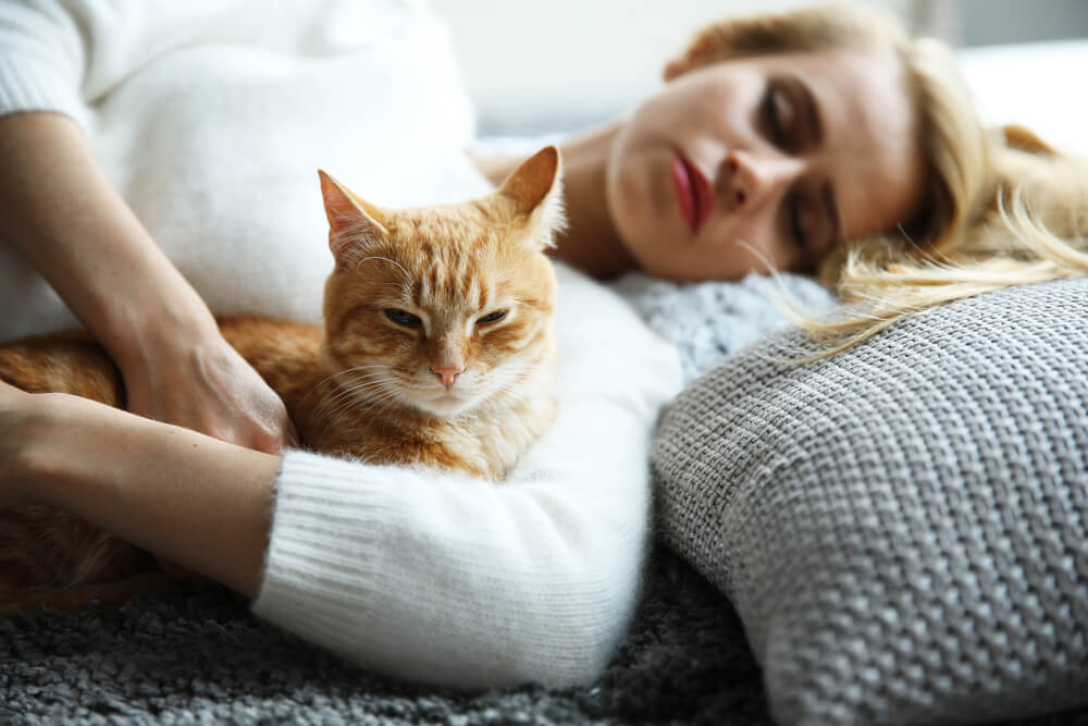 6 razloga zbog kojih je dobro spavati s mačkom