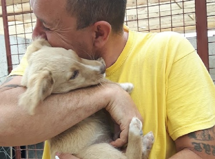Saša iz Niša do sada spasio preko 1000 pasa