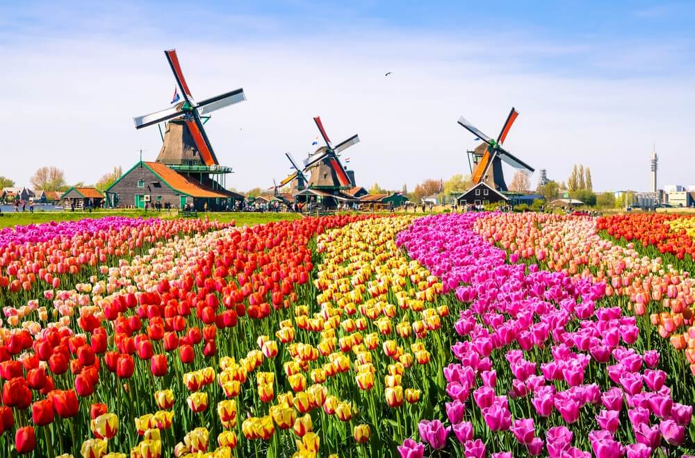 Ovo je najživopisniji park cveća u Holandiji