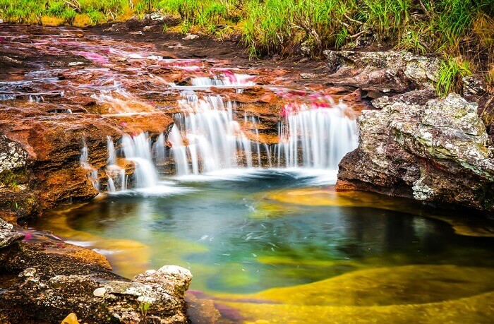 Kanjo Kristales – najlepša reka na svetu koja teče u pet boja