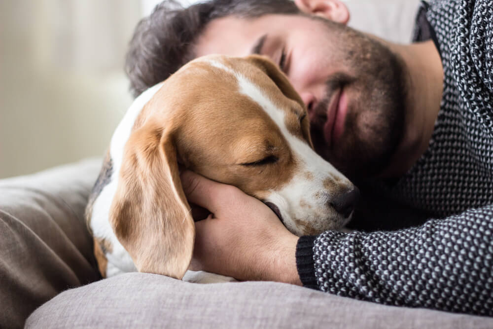 Da li ste znali da možete da produžite život svom psu uz ovih pet stvari?