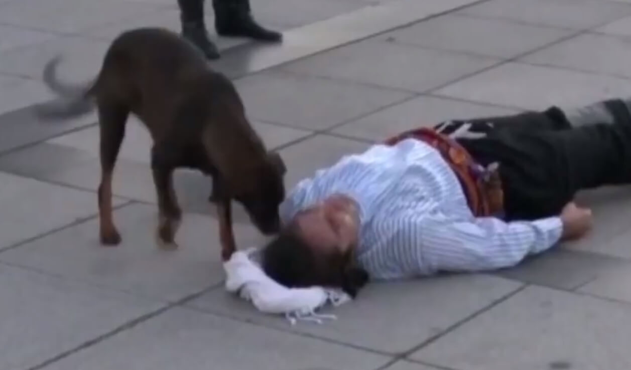 Glumac igrao ulogu u kojoj je povređen – pas lutalica mu odmah priskočio u pomoć