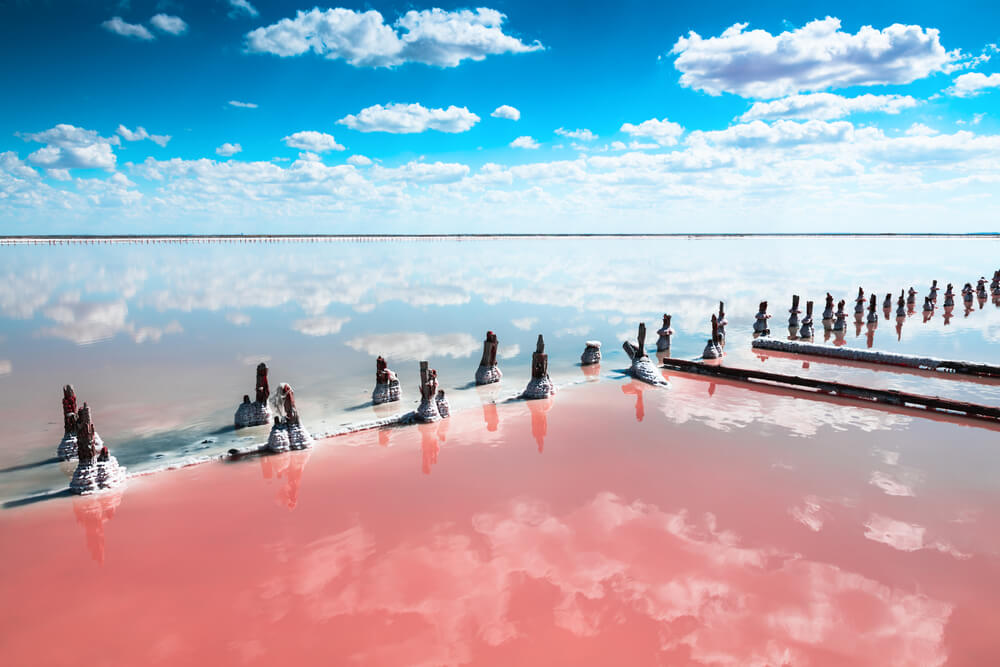 Bajkovito roze jezero na Krimu je hit Instagrama – pogledajte šta se desi kad priroda odluči da bude slikar
