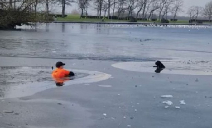 Heroj dana – slučajni prolaznik spasio psa iz zaleđenog jezera