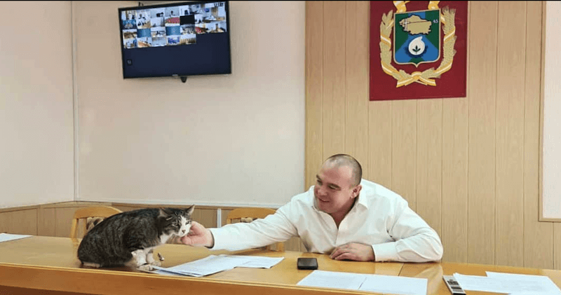 Mačak već 12 godina sastavni deo jedne ruske opštine