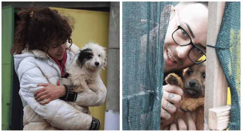 „Animal Webaction“ uspeo da prikupi 1800kg hrane za pse iz azila u Kraljevu