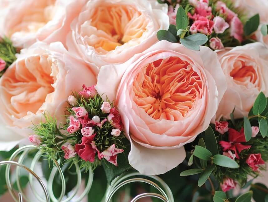 „Udaraju po džepu“ za Dan zaljubljenih – ovo su najskuplji cvetovi na svetu