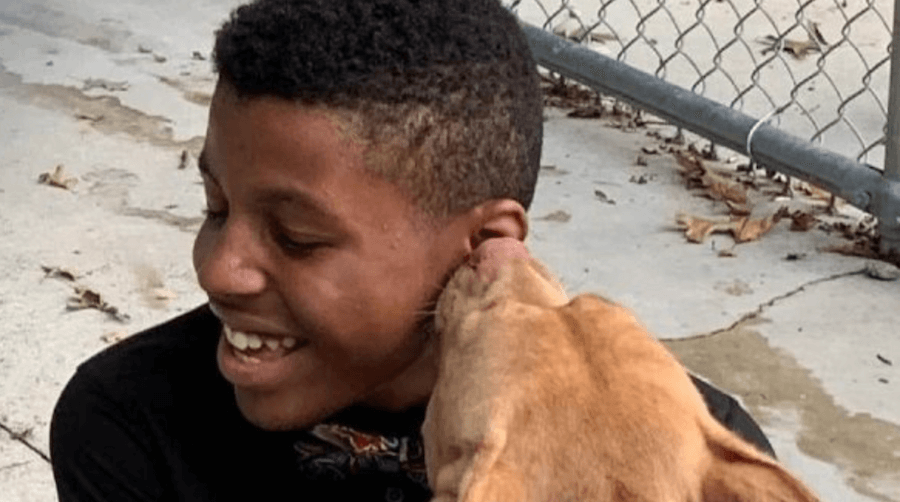 Dečak koristi svoj talenat kako bi pomogao psima da budu udomljeni