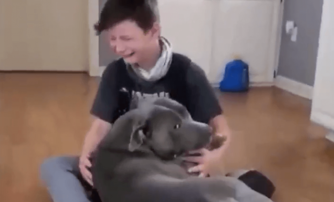 Ponovni susret – Dečak posle dva meseca ponovo u zagrljaju svog psa