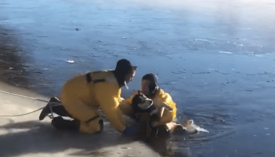 Svi životi vrede podjednako – Vatrogasci uspeli da spasu psa iz zaleđenog jezera
