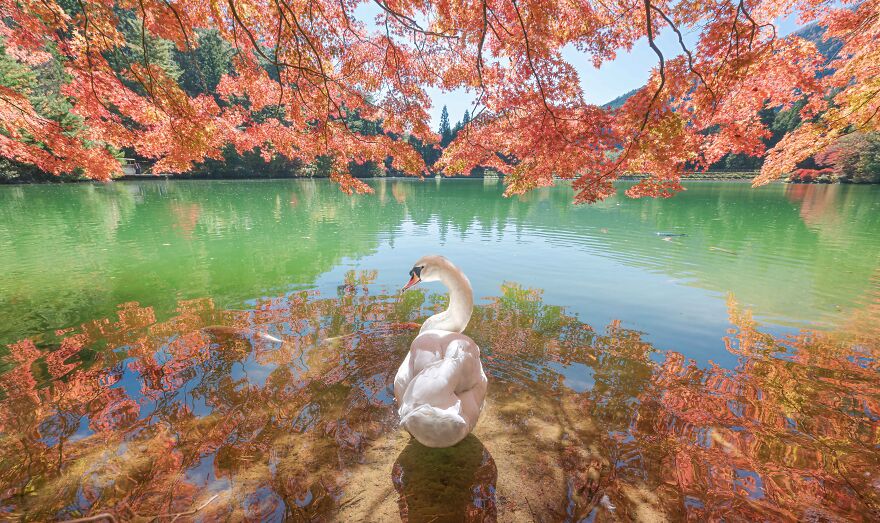 12 najlepših fotografija prirode sa Međunarodnog takmičenja u Tokiju