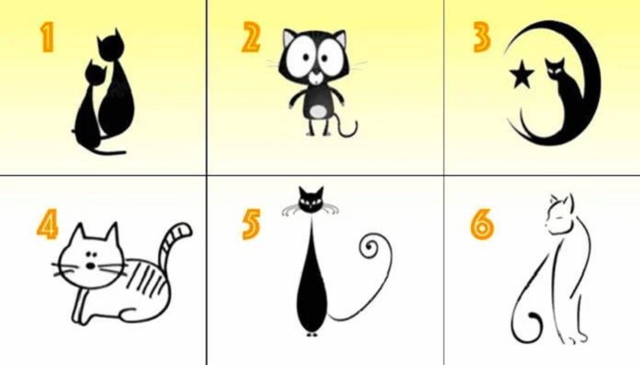 Psihološki test – odaberite mačku i saznajte nešto o sebi!