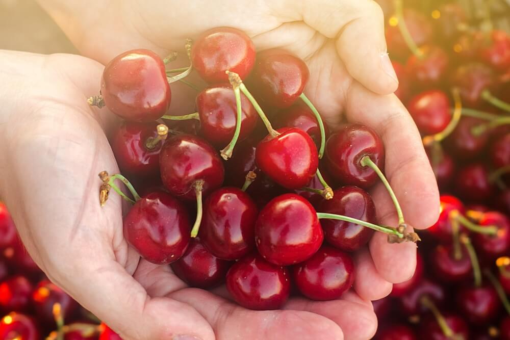 10 dobrih razloga da jedete trešnje