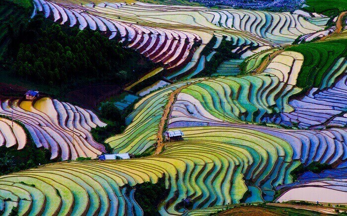 Polja pirinča u Aziji su stvar magije