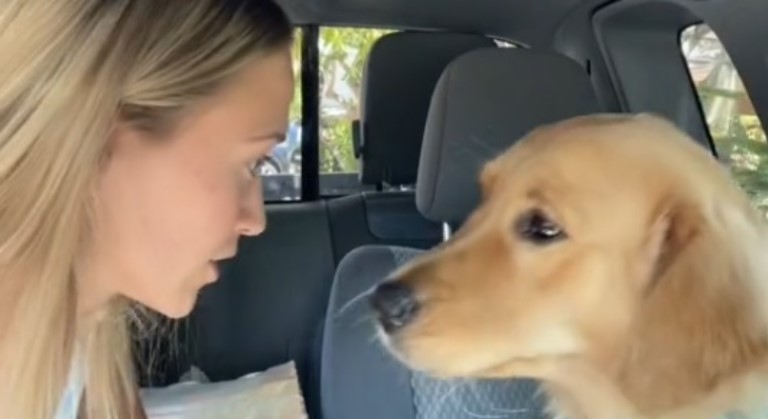 Devojka se ponaša prema psu kako bi se i on ponašao – pas je ostao zbunjen