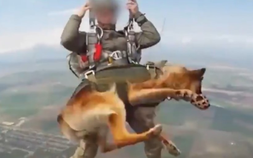 Ruski padobranci skaču zajedno sa psima sa čak 4000 metara!
