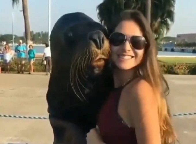 Pravi pozer – Morski lav se fotografisao sa devojkom, i napravio presmešni izraz lica