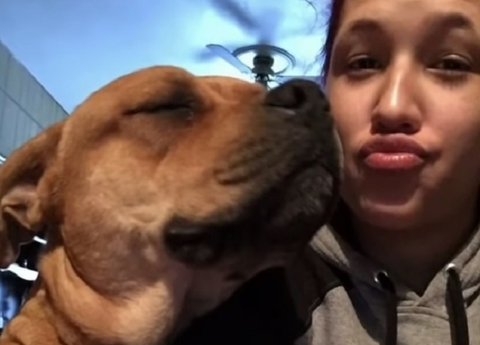 Sreći nema kraja – Žena pronašla svog psa koji je odlutao pre dve godine