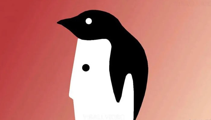 Pingvin ili muško lice – stvar koju ste prvo ugledali otkriva zanimljivost o vama