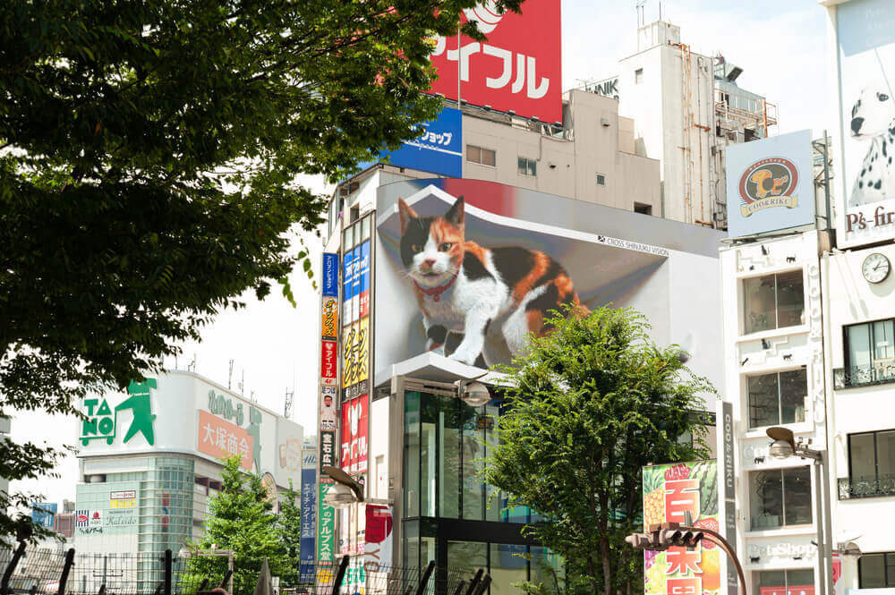 U Tokiju ogromna 3D mačka ulepšava prolaznicima dan