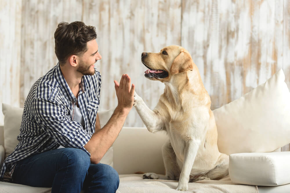 Oni će vas pročitati – evo kako psi mogu da osete da li je neko dobra osoba ili ne