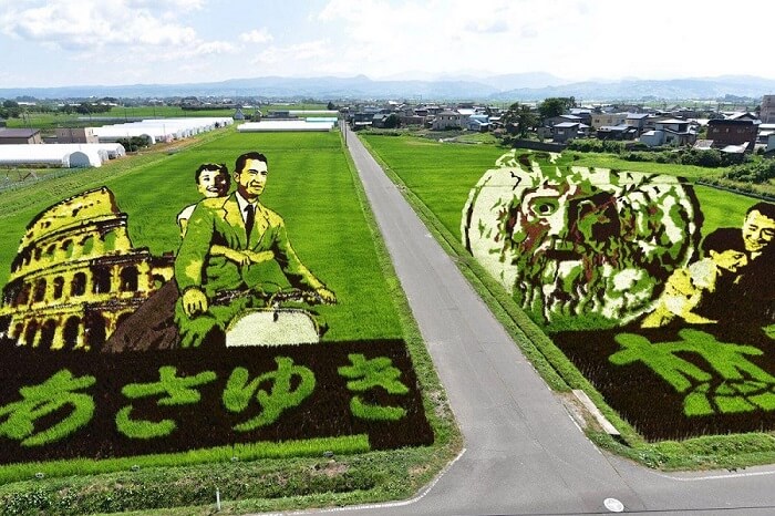 Tambo āto – Umetnička dela na poljima pirinča u Japanu