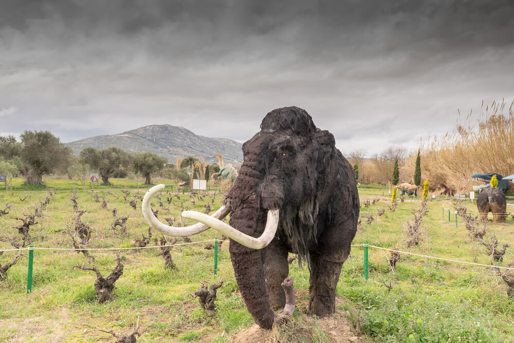 Ambiciozni naučnici žele da ožive vunastog mamuta uz projekat vredan 15 miliona dolara