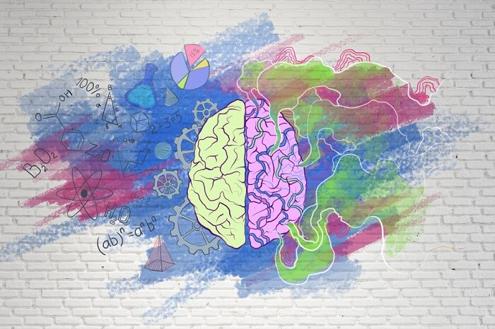 Čudesan spoj neurona – 10 fascinantnih činjenica o ljudskom mozgu