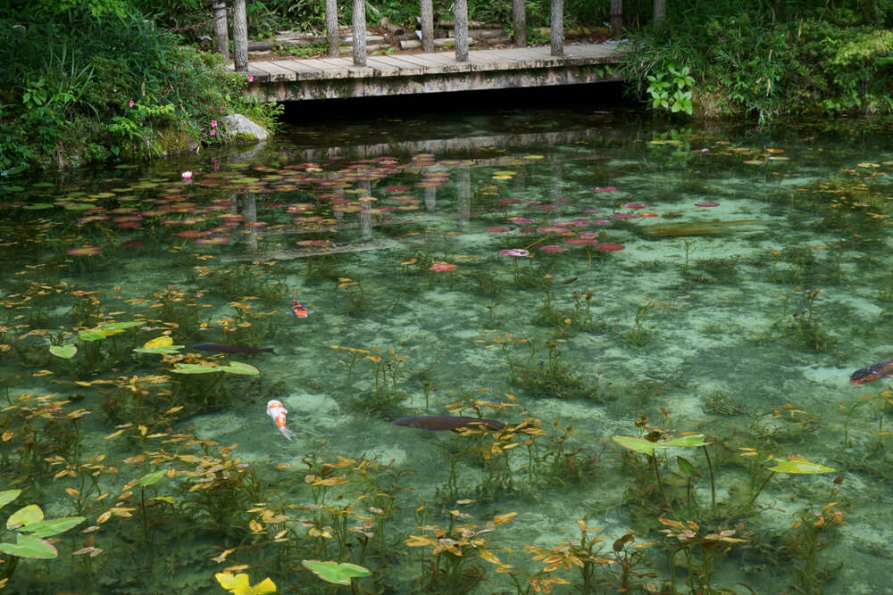 Moneovo jezero nalazi se u Japanu i pravi je biser prirode